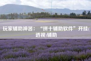 玩家辅助神器：“拼十辅助软件”开挂(透视)辅助