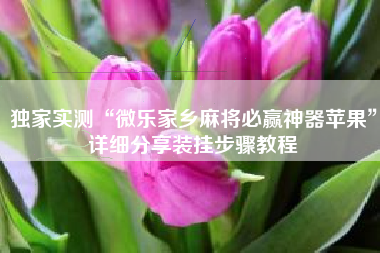 独家实测“微乐家乡麻将必赢神器苹果”详细分享装挂步骤教程