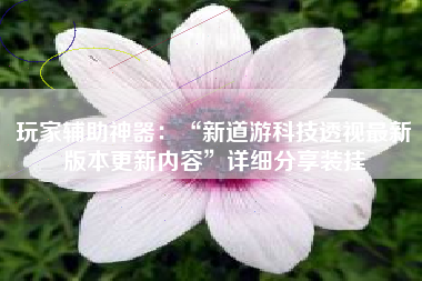 玩家辅助神器：“新道游科技透视最新版本更新内容”详细分享装挂