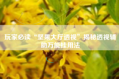 玩家必读“坚果大厅透视”揭秘透视辅助万能挂用法