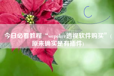 今日必看教程“wepoker透视软件购买”(原来确实是有插件) 今日必看教程“wepoker透视软件购买”(原来确实是有插件)