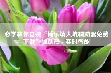 必学教你安装“博乐填大坑辅助器免费下载”辅助器 - 实时智能