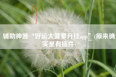 辅助神器“好运大菠萝开挂app”(原来确实是有插件) 辅助神器“好运大菠萝开挂app”(原来确实是有插件)