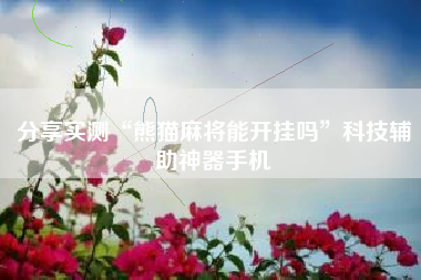 分享实测“熊猫麻将能开挂吗”科技辅助神器手机