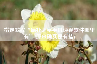 指定教程“德扑之星手机透视软件哪里有”(原来确实是有挂)
