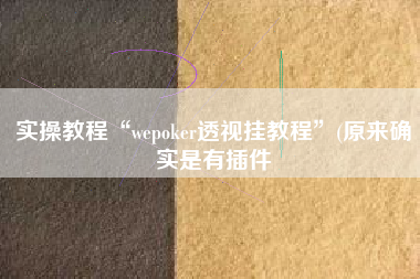 实操教程“wepoker透视挂教程”(原来确实是有插件