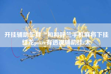 开挂辅助工具“和和呼兰手机麻将下挂红龙poker有透视辅助挂(太