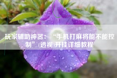 玩家辅助神器：“手机打麻将能不能控制”(透视)开挂详细教程