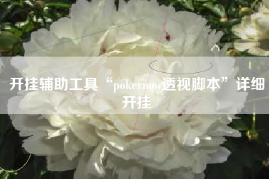 开挂辅助工具“pokernow透视脚本”详细开挂