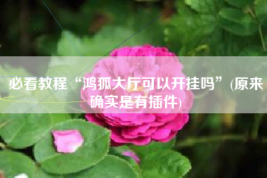 必看教程“鸿狐大厅可以开挂吗”(原来确实是有插件) 必看教程“鸿狐大厅可以开挂吗”(原来确实是有插件)