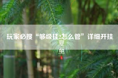 玩家必搜“够级挂2怎么管”详细开挂 玩家必搜“够级挂2怎么管”详细开挂