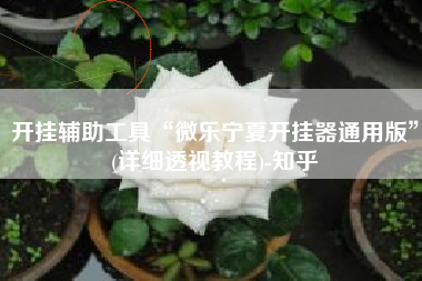 开挂辅助工具“微乐宁夏开挂器通用版”(详细透视教程)-知乎 开挂辅助工具“微乐宁夏开挂器通用版”(详细透视教程)-知乎