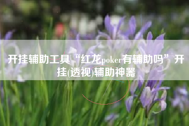 开挂辅助工具“红龙poker有辅助吗”开挂(透视)辅助神器