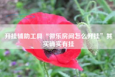 开挂辅助工具“微乐房间怎么开挂”其实确实有挂