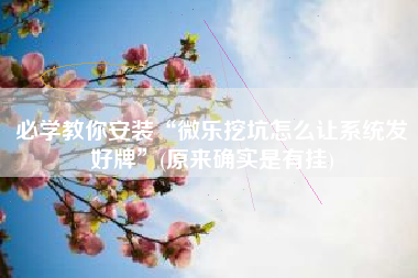 必学教你安装“微乐挖坑怎么让系统发好牌”(原来确实是有挂)