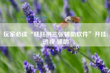 玩家必读“旺旺拼三张辅助软件”开挂(透视)辅助