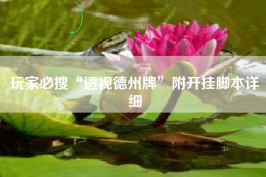 玩家必搜“透视德州牌”附开挂脚本详细