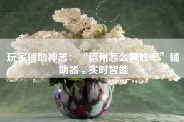 玩家辅助神器：“德州怎么算胜率”辅助器 - 实时智能