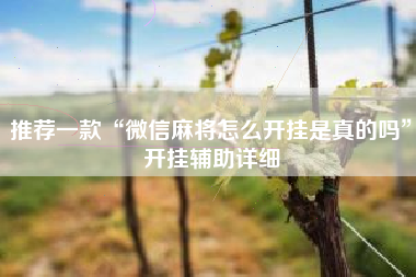 推荐一款“微信麻将怎么开挂是真的吗”开挂辅助详细