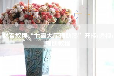 必看教程“七喜大厅辅助器”开挂(透视)辅助教程 必看教程“七喜大厅辅助器”开挂(透视)辅助教程