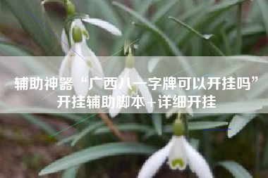 辅助神器“广西八一字牌可以开挂吗”开挂辅助脚本+详细开挂 辅助神器“广西八一字牌可以开挂吗”开挂辅助脚本+详细开挂