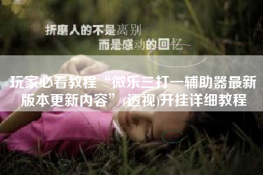 玩家必看教程“微乐三打一辅助器最新版本更新内容”(透视)开挂详细教程