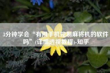 3分钟学会“有用手机控制麻将机的软件吗”(详细透视教程)-知乎