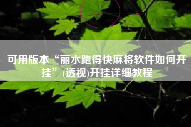 可用版本“丽水跑得快麻将软件如何开挂”(透视)开挂详细教程