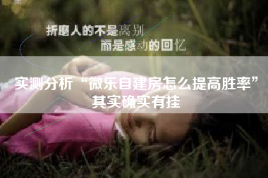 实测分析“微乐自建房怎么提高胜率”其实确实有挂 实测分析“微乐自建房怎么提高胜率”其实确实有挂