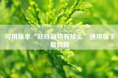 可用版本“旺旺麻将有挂么”通用版下载教程