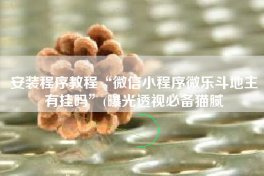 安装程序教程“微信小程序微乐斗地主有挂吗”(曝光透视必备猫腻