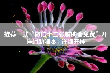 推荐一款“微信十三张辅助器免费”开挂辅助脚本+详细开挂