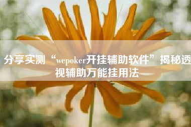 分享实测“wepoker开挂辅助软件”揭秘透视辅助万能挂用法 分享实测“wepoker开挂辅助软件”揭秘透视辅助万能挂用法