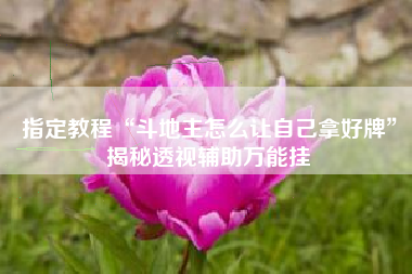 指定教程“斗地主怎么让自己拿好牌”揭秘透视辅助万能挂