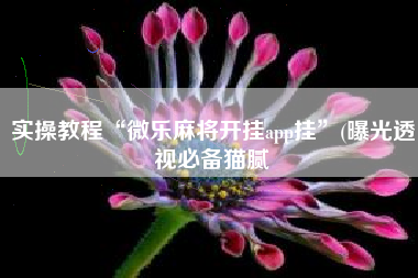 实操教程“微乐麻将开挂app挂”(曝光透视必备猫腻