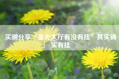 实测分享“圣光大厅有没有挂”其实确实有挂