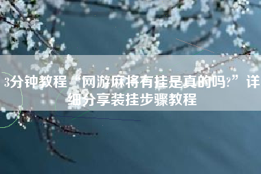3分钟教程“网游麻将有挂是真的吗?”详细分享装挂步骤教程