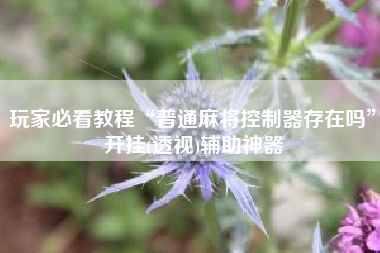 玩家必看教程“普通麻将控制器存在吗”开挂(透视)辅助神器