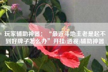 玩家辅助神器：“最近斗地主老是起不到好牌子怎么办”开挂(透视)辅助神器