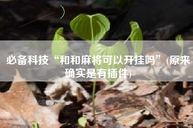 必备科技“和和麻将可以开挂吗”(原来确实是有插件)