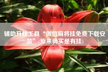 辅助开挂工具“微信麻将挂免费下载安装”(原来确实是有挂) 辅助开挂工具“微信麻将挂免费下载安装”(原来确实是有挂)