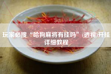 玩家必搜“哈狗麻将有挂吗”(透视)开挂详细教程