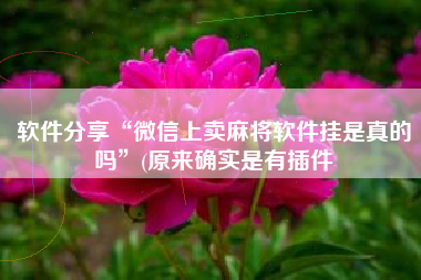 软件分享“微信上卖麻将软件挂是真的吗”(原来确实是有插件 软件分享“微信上卖麻将软件挂是真的吗”(原来确实是有插件