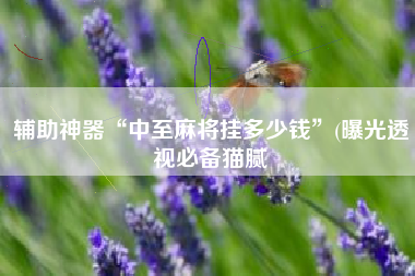 辅助神器“中至麻将挂多少钱”(曝光透视必备猫腻