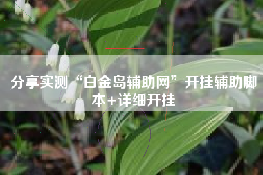 分享实测“白金岛辅助网”开挂辅助脚本+详细开挂
