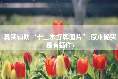 真实辅助“十三水好牌图片”(原来确实是有插件) 真实辅助“十三水好牌图片”(原来确实是有插件)