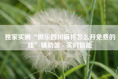 独家实测“微乐四川麻将怎么开免费的挂”辅助器 - 实时智能