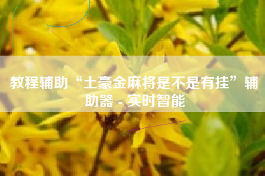 教程辅助“土豪金麻将是不是有挂”辅助器 - 实时智能 教程辅助“土豪金麻将是不是有挂”辅助器 - 实时智能