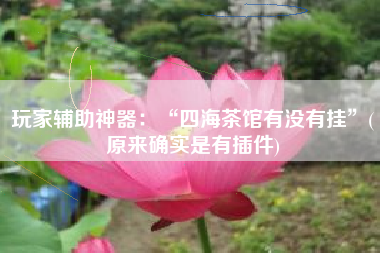 玩家辅助神器：“四海茶馆有没有挂”(原来确实是有插件)