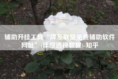 辅助开挂工具“牌友联盟免费辅助软件网址”(详细透视教程)-知乎 辅助开挂工具“牌友联盟免费辅助软件网址”(详细透视教程)-知乎